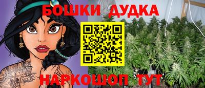 дживик Нальчик