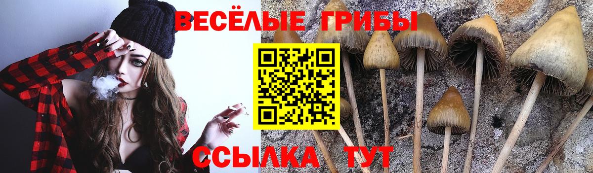 Псилоцибиновые грибы ЛСД Феодосия