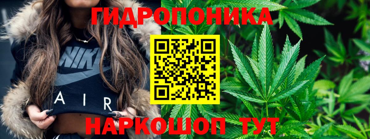 Бошки марихуана ГИДРОПОН  Канабис AK-47  Феодосия  Вход с VPN  Шишки марихуана планчик 
